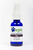 Fur - All Natural Liquid Supplement for Faster Hair Regrowth Due to Surgery or Illness - Apply Directly to Body and Put in Food & Water for Fastest Results - Multivitamin (Spray, 1 Ounce)