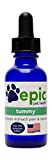 Tummy - Natural, Electrolyte, Odorless Pet Supplement That Relieves Stomach Pain and Nausea (Dropper, 1 Ounce)