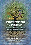 Protecting the Promise: Indigenous Education Between Mothers and Their Children (Culturally Sustaining Pedagogies Series)