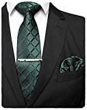 JEMYGINS Plaid Green Tie and Pocket Square Hankerchief Mens Silk Necktie with Tie Clip Sets(4)