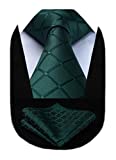HISDERN Plaid Tie Handkerchief Woven Classic Men's Necktie & Pocket Square Set Emerald Green Ties for Men Forest Green Formal Tie Set
