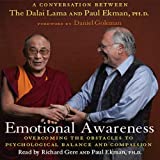 Emotional Awareness: Overcoming the Obstacles to Emotional Balance and Compassion