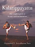 Kalarippayattu: The Complete Guide to Kerala's Ancient Martial Art