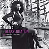 Wanted: Blaxploitation: From Diggers to Music Lovers
