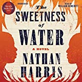 The Sweetness of Water (Oprahs Book Club): A Novel