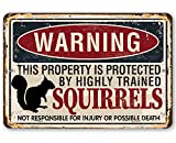 Metal Sign - Warning Property Protected by Squirrels - Durable Metal Sign - Use Indoor/Outdoor - Cute and Funny Garden Decor and Gift Under $25 (12" x 18")