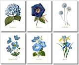 Blue Flower Wall Art - Vintage Floral Wall Decor - Botanical Prints - 8x10 - Set of 6 - Unframed