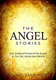 The Angel Stories: True Stories of Some of the Angels in our Life, Home and Ministry