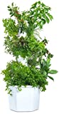 Aerospring 27-Plant Vertical Hydroponic Outdoor Growing System - Patented Vertical Hydroponic Kit for Outdoor Gardening - Grow Lettuce, Herbs, Veggies & Fruit - Grow Smart, Not Hard