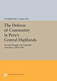 The Defense of Community in Peru's Central Highlands: Peasant Struggle and Capitalist Transition, 1860-1940 (Princeton Legacy Library, 2732)