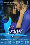 Sync (Rockstar Book #9.9): A Rockstar Romance