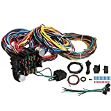 Universal Extra Long Wires 21 Circuit Wiring Harness Hotrod Fit for GM Chevy
