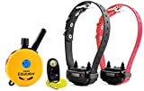 Bundle of 2 Items - E-Collar - ET-302 - Half a Mile Remote Waterproof Two Dog Trainer Mini Educator - Static, Vibration and Sound Stimulation Collar With PetsTEK Dog Training Clicker Training Kit