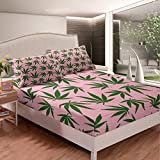 Feelyou Marijuana Leaf Bed Sheets Pink Cannabis Leaves Bed Sheet Set for Girls Women Adults Marijuana Weed Green Leaf Bedding Set Botanical Hemp Fitted Sheet Bedroom Collection 3Pcs Queen Size