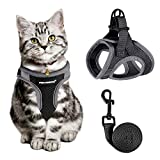 FAYOGOO Cat Harness and Leash for Walking Escape Proof, Adjustable Cat Leash and Harness Set, Lifetime Replacement, Lightweight Kitten Harness, Easy Control Breathable Cat Vest with Reflective Strip