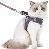 Cat Harness and Leash for Walking Escape Proof