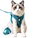 FDOYLCLC Cat Harness and Leash Set for Walking Escape Proof, Step-in Easy Control Outdoor Jacket, Adjustable Reflective Breathable Soft Air Mesh Vest for Small, Medium, Large Kitten (Turquoise, M)