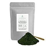 Canine Super Greens by Holistic Bin | Vegan Dog Nutritional Supplement with Marine Phytoplankton, Spirulina, Chlorella, & Fermented Barley Grass | Organic Skin and Coat Support (50 Grams)