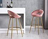 Kmax Lovely 30" Velvet Padded Bar Stools Set of 2 with Gold Metal Legs, Mid Century Modern Bar Stools Low Back for Kitchen Island Home Pub, Dusty Pink-Open Back