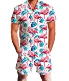 Idgreatim Men 3D Graphic Flamingos Beach Rompers Music Festival Casual Shorts Zipper Jumpsuit One Piece Romper Overall Outfits