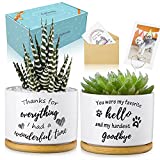 Giftacity Dog Memorial Gifts, Pet Loss Remembrance Sympathy Gift Succulent Pots for Loss of Pet with Rainbow Bridge Poem Passing Away Gifts in Memory of Dog and Cat