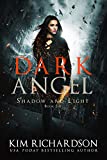 Dark Angel: A Snarky Urban Fantasy Series (Shadow and Light Book 6)