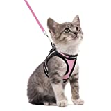 rabbitgoo Cat Harness and Leash Set for Walking Escape Proof, Adjustable Soft Kittens Vest with Reflective Strip for Cats, Comfortable Outdoor Vest, Pink, S (Chest:9.0"-12.0")