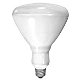 GE Incandescent Plant Light Bulb, BR30 Indoor Plant Light, 65-Watt, 730 Lumen, Medium Base, Blue-Tinted White, 1-Pack, Recessed Light Bulb for Indoor Plants