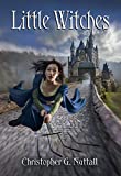 Little Witches (Schooled In Magic Book 21)