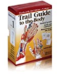 Trail Guide to the Body Flashcards Vol 1: Skeletal System, Joints, and Ligaments, Movements of the Body