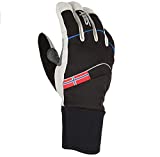Swix Men's Shield Ski Snowboard Gloves, Black, S