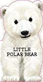 Little Polar Bear (Mini Look at Me Books)