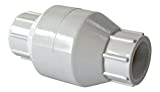 American Valve P32S 3/4" PVC In-Line Check Socket Schedule 40, 3/4-Inch