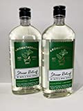 Bath and Body Works 2 Pack Aromatherapy Stress Relief Eucalyptus & Spearmint Shower Gel. 10 Oz.