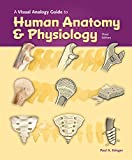 Visual Analogy Guide to Human Anatomy & Physiology