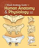 A Visual Analogy Guide to Human Anatomy and Physiology 2nd edition by Paul A. Krieger (2013) Ring-bound