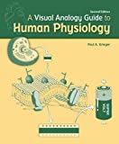 A Visual Analogy Guide to Human Physiology