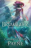 Breakwater (Broken Tides Stories Book 1)