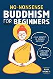 No-Nonsense Buddhism for Beginners: Clear Answers to Burning Questions About Core Buddhist Teachings