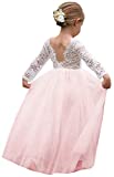 Girl Toddler Full-Length Straight Tulle Tutu Lace Back Party Flower Girl Dress (3-4T, Sleeve-Pink)