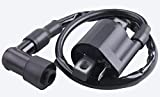 CNCMOTOK IGNITION COIL NEW Compatible with Yamaha PW 50 PW50 1981-2009 PW 80 PW80 1981-2009