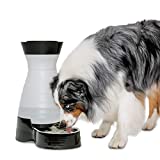 PetSafe Healthy Pet Water Station, Dog and Cat Water System with Stainless Steel Bowl, Large, 320 Oz.