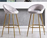 CIMOTA Grey Velvet Bar Stools Set of 2, Modern Tufted Barstools 30 Inch Bar Height Chairs with Open Back/Footrest Kitchen Stools for Island/Home Bar/Dining Room/Kitchen