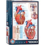 EuroGraphics Human Body (The Heart) Puzzle (1000-Piece) , Blue