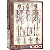 EuroGraphics Skeletal System (Chart) Puzzle (1000-Piece) (6000-3970) , Brown