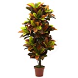 Nearly Natural 6721 Real Touch Croton Artificial Plant, 56-Inch, Green/Orange,62.5" x 9" x 9"