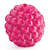 Planet Dog Orbee-Tuff Raspberry Treat-Dispensing Dog Chew Toy