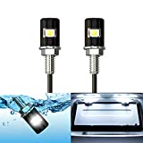 WEIMELTOY License Plate Light, License Screw Bolt LED, Super Bright 12V Waterproof License Plate LED Bulb Legal for Motorcycle Bike Truck RV ATV, Cool White(2PCS)