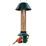 Roamwild PestOff Squirrel Proof Wild Bird Feeder Mixed Seed Sunflower Heart Version - Green - 3LBS Seed Capacity  21x8x8 (w/Hanger)