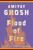 Flood of Fire: A Novel (The Ibis Trilogy Book 3)